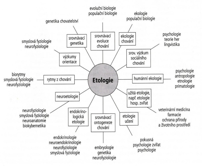 Content 4.etologie.jpg