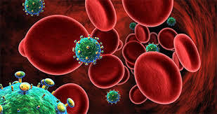 Content krvinky a protil tky