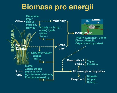 Content biomasa